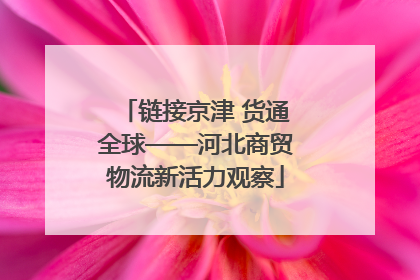 链接京津 货通全球——河北商贸物流新活力观察
